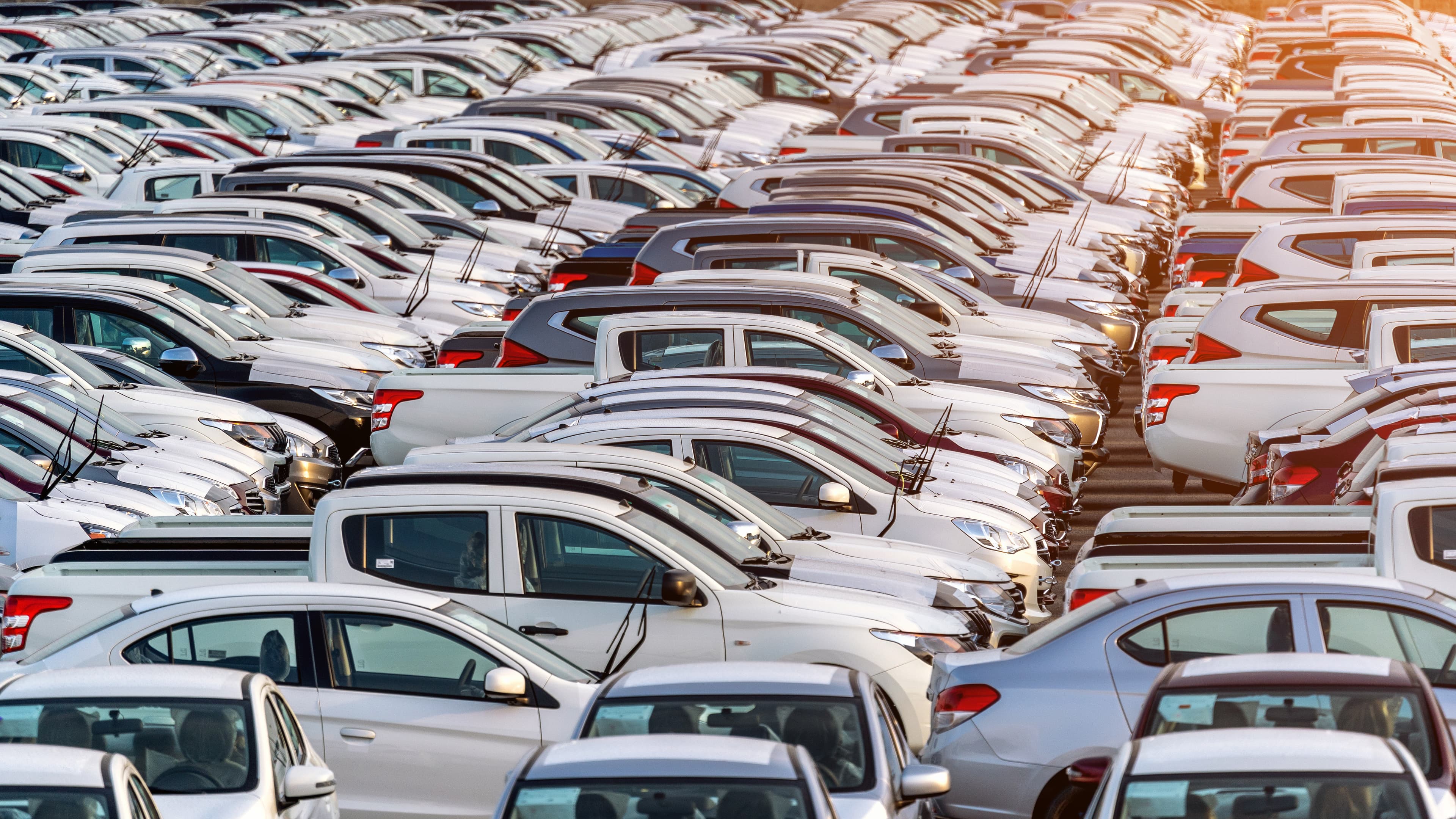 Fleet & Rental partner vehicle lineup